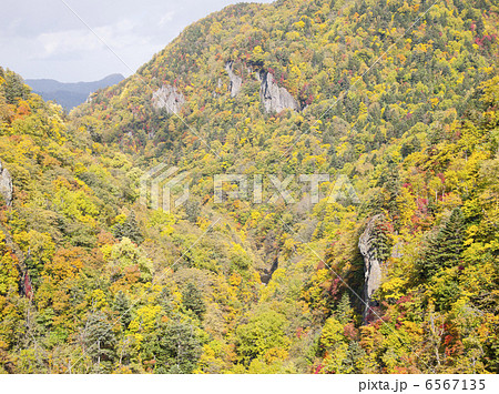 豊平峡(札幌市 定山渓) 豊平峡(札幌市 定山渓) 6567135