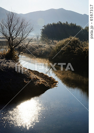 冬の桜川 6567317