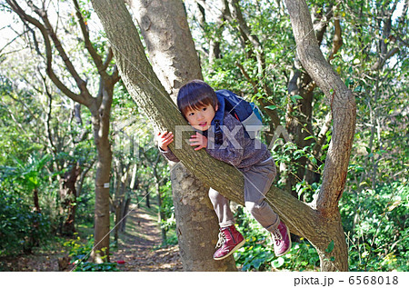 木登りする子供の写真素材