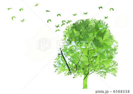 樹木と小鳥のシルエットのイラスト素材