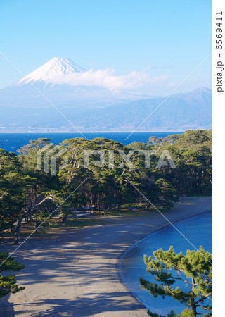 白砂青松 6569411