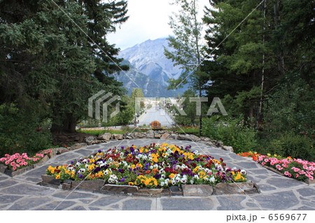 カナディアンロッキー Canadian Rocky Mountain Parks カナディアンロッキー Canadian Rocky Mountain Parks 6569677