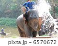 象の水浴び（1） 6570672