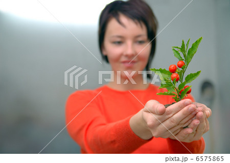 Beautiful girl holding young plant 6575865