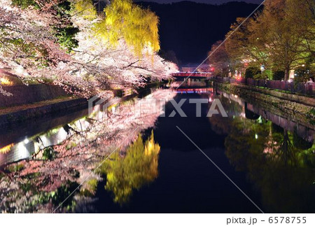 慶流橋と夜桜 6578755