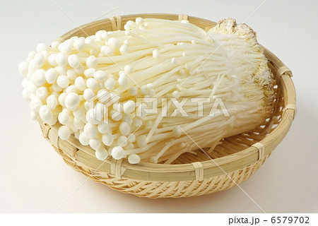 エノキタケ 6579702