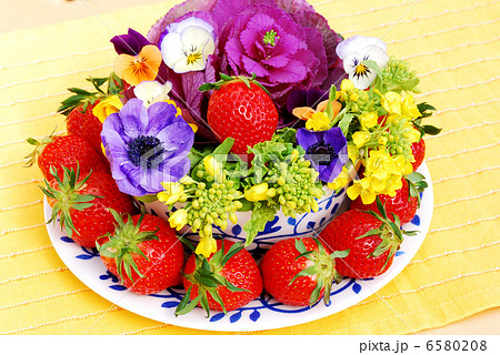 春の食卓 春の食卓 6580208