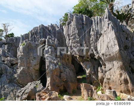 沖縄・大石林山 6580699