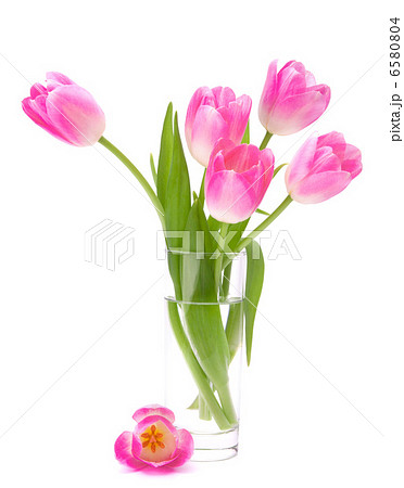 Pink tulips bouquet in vase isolated on white background Pink tulips bouquet in vase isolated on white background 6580804