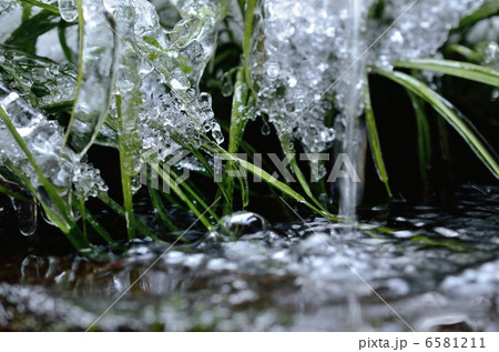 三千院、手水鉢の水面と氷 6581211