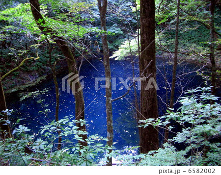 十二湖 青池 十二湖 青池 6582002