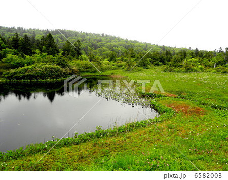 八幡平の池 八幡平の池 6582003