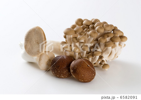 キノコ三種 6582091