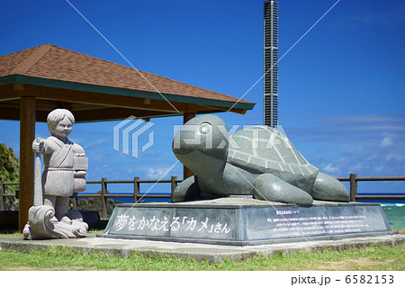 夢をかなえる「カメ」さん 6582153