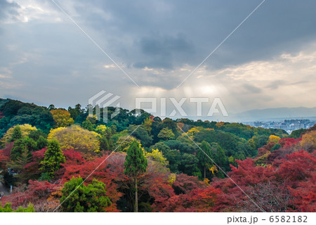 清水寺　錦雲渓 6582182