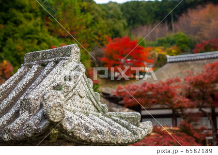清水寺 清水寺 6582189