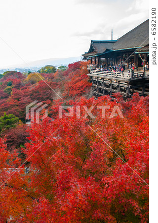 清水寺　清水の舞台 6582190