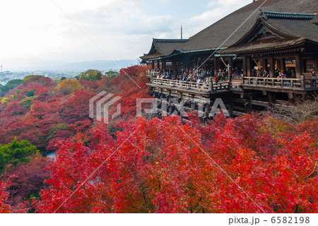 清水寺　清水の舞台 6582198