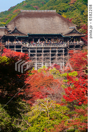 清水寺　清水の舞台 6582208