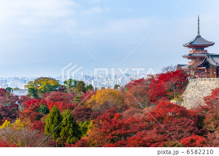 清水寺　三重塔 6582210