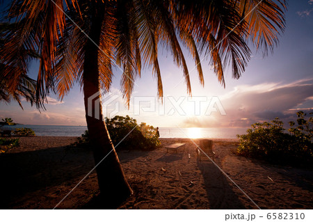 Tropical beach Tropical beach 6582310