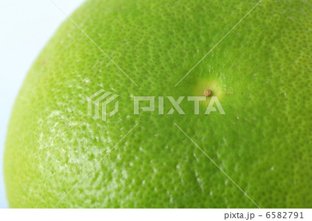 スウィーティー 6582791