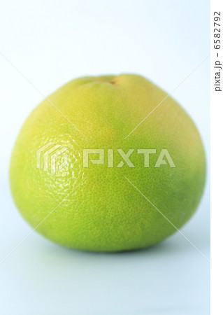 スウィーティー 6582792