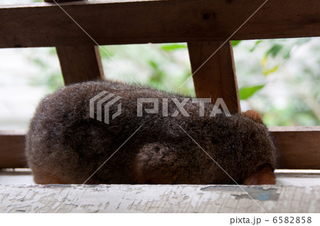 仮宿でぐっすり 6582858