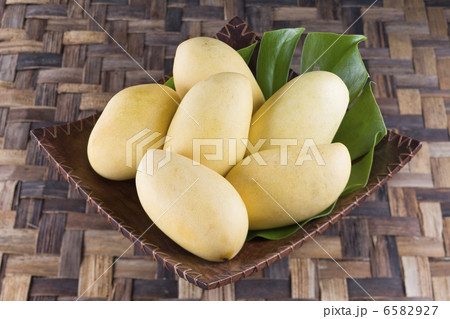 エスニック料理と食材 6582927