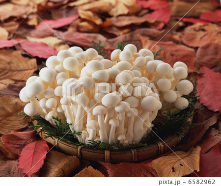 秋の料理 秋の料理 6582962