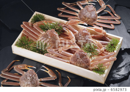 冬の食材 6582973