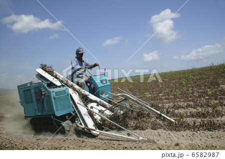 北海道・酪農・農業風景 6582987