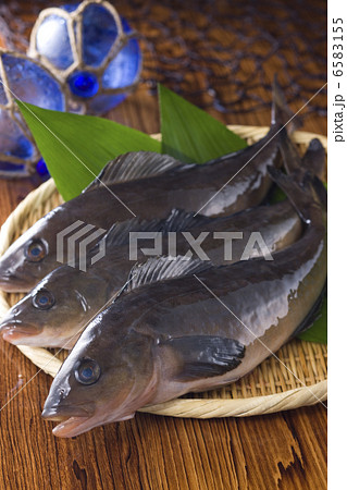 鮮魚百選２ 6583155