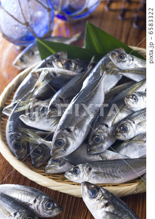 鮮魚百選２ 6583322