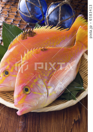 鮮魚百選２ 6583413