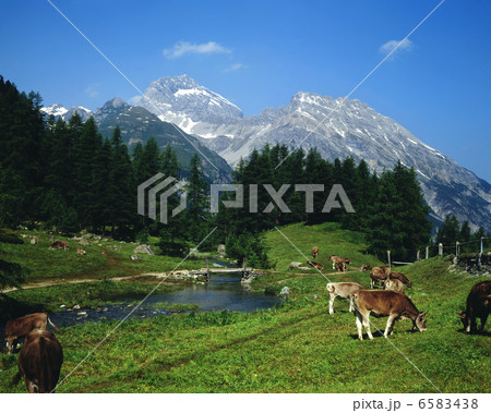 欧州紀行 6583438