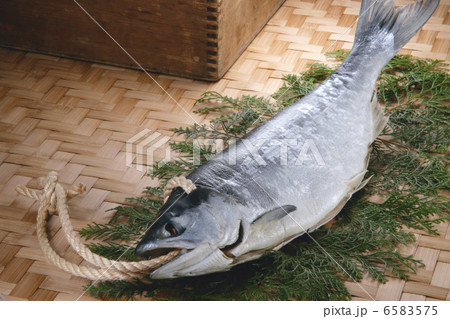 冬の料理 6583575