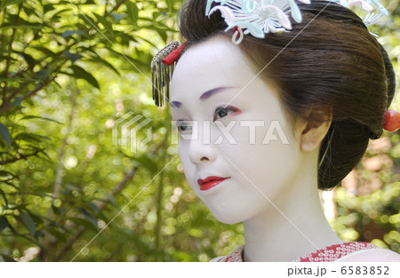 京・舞妓 6583852