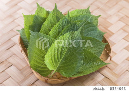 韓国料理と食材 韓国料理と食材 6584048