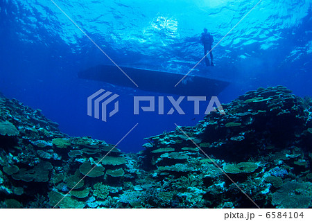 海中世界 6584104