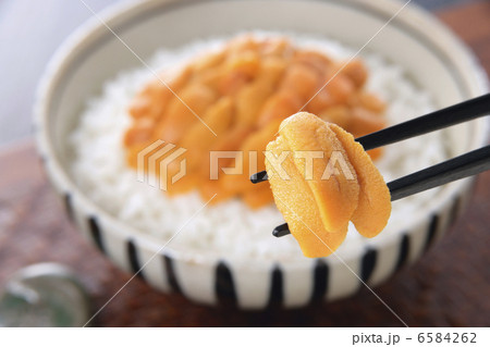 冬の食材 冬の食材 6584262