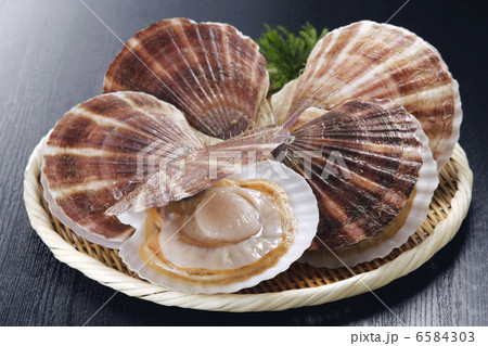 冬の食材 冬の食材 6584303