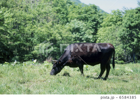 食の産業　農業編 6584385