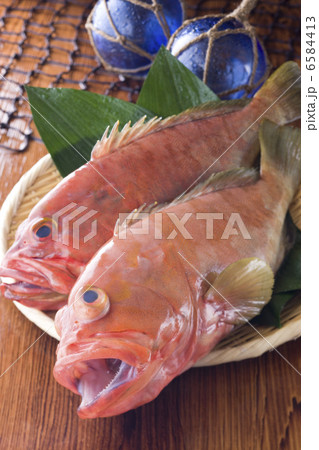 鮮魚百選2 鮮魚百選2 6584413