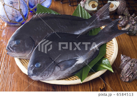 鮮魚百選2 鮮魚百選2 6584513