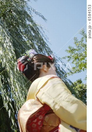 京・舞妓 6584553