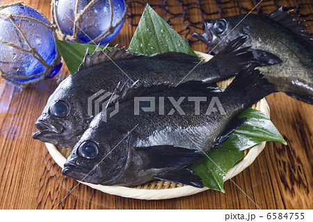 鮮魚百選2 鮮魚百選2 6584755