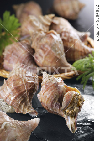 冬の食材 6584802