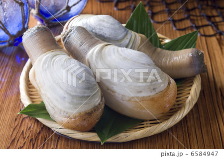 鮮魚百選２ 6584947