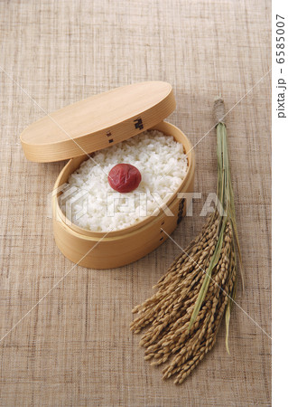 お米とご飯 6585007
